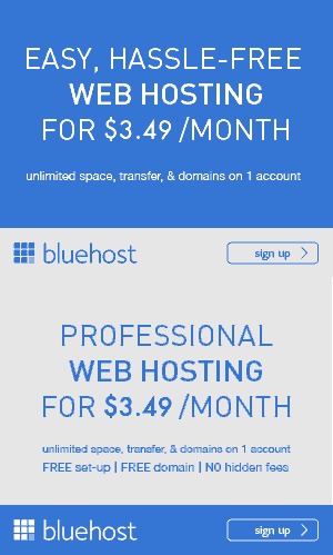 bluehost banner