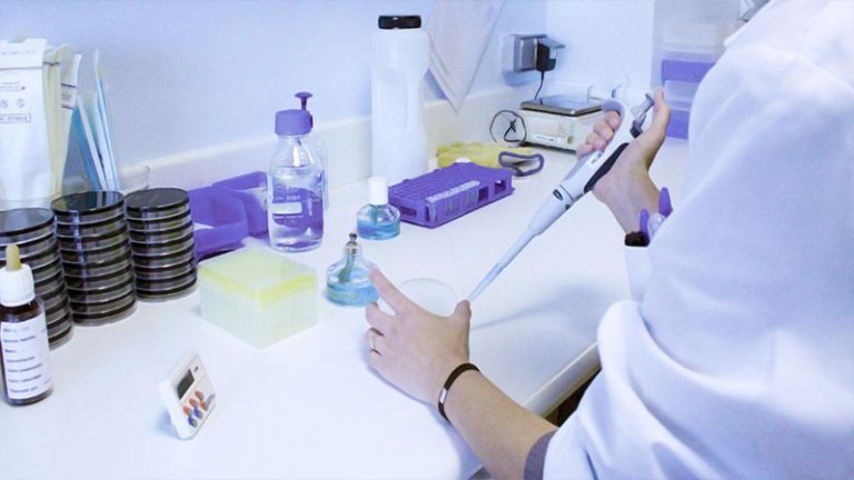 Industrial Enzymes Market