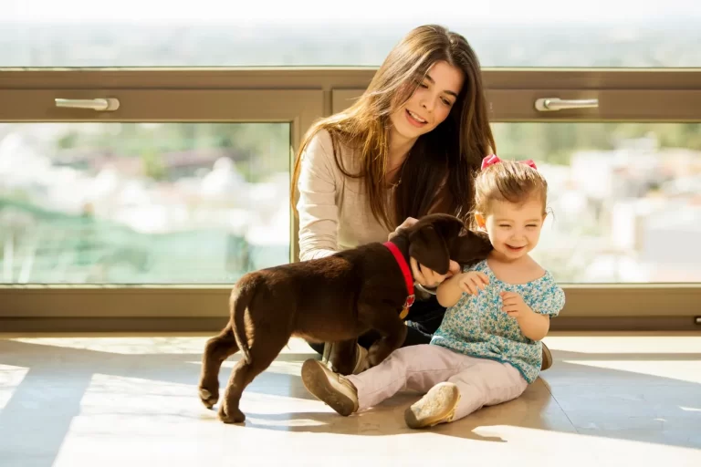 best dog grooming products - doctor bums